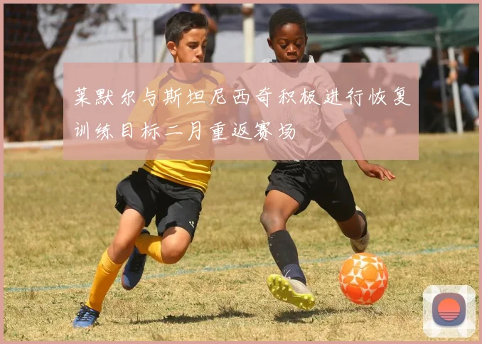 莱默尔与斯坦尼西奇积极进行恢复训练目标二月重返赛场
